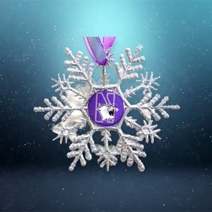 Northwestern Univ WILDCATS Handmade Snowflake *NEW*